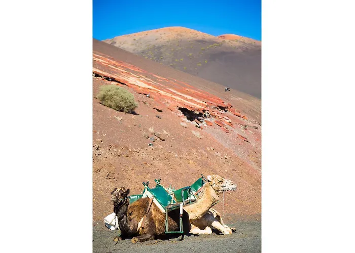 La Isla Playa Blanca (Lanzarote)